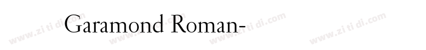 成熟经典 Garamond Roman字体转换 成熟经典 Garamond Roman字体转换